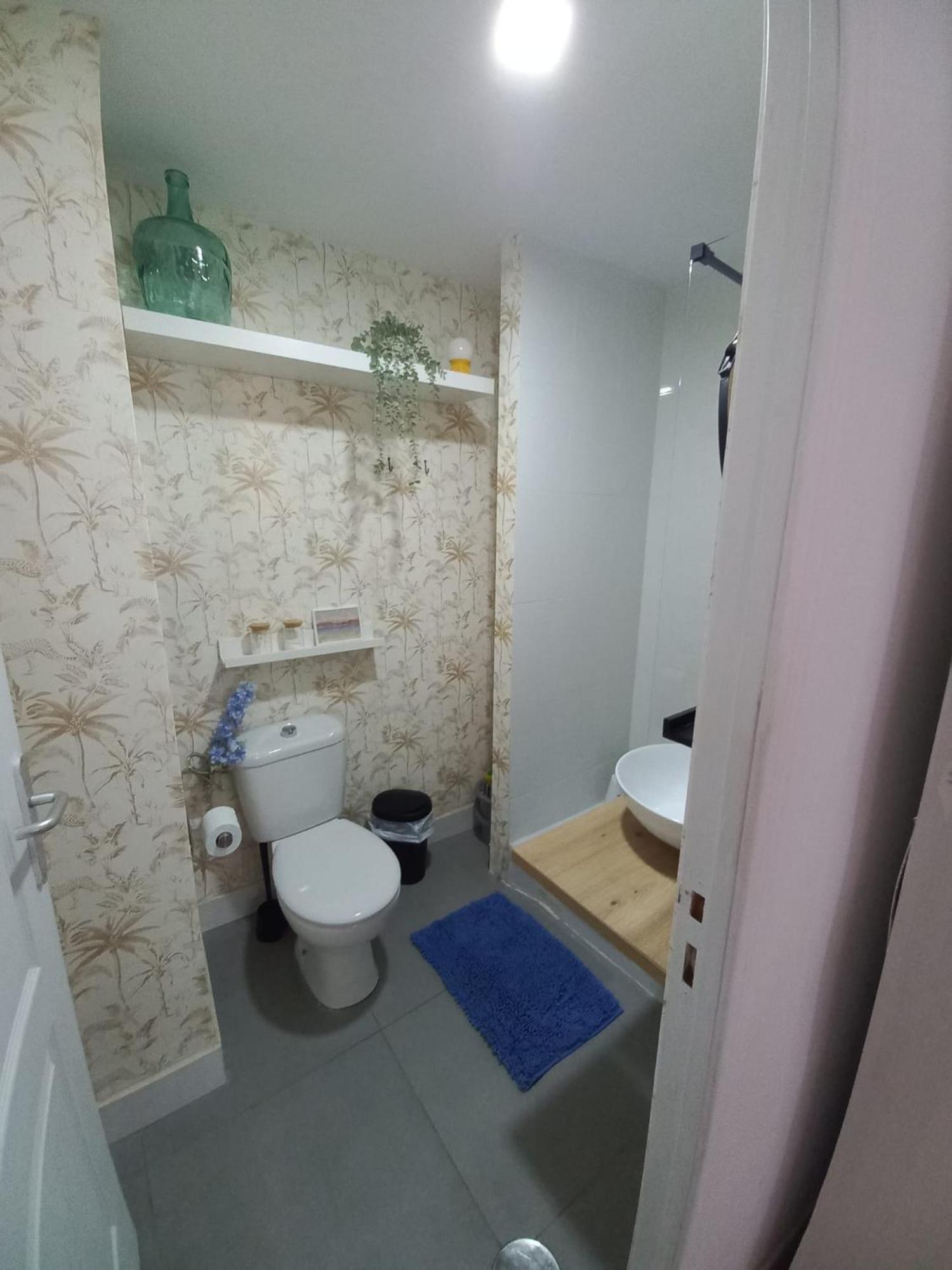 La Gitana Y El Rey Sol Apartment มาลากา ภายนอก รูปภาพ